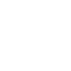 Cat Icon